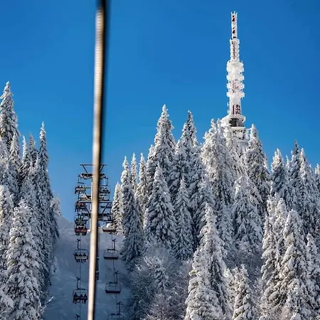 The Golden Nest - 3 Bedroom Family Mountain * Пампорово