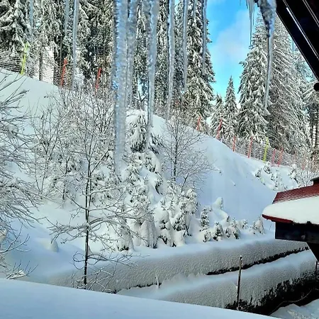 The Golden Nest - 3 Bedroom Family Mountain Апартаменты *